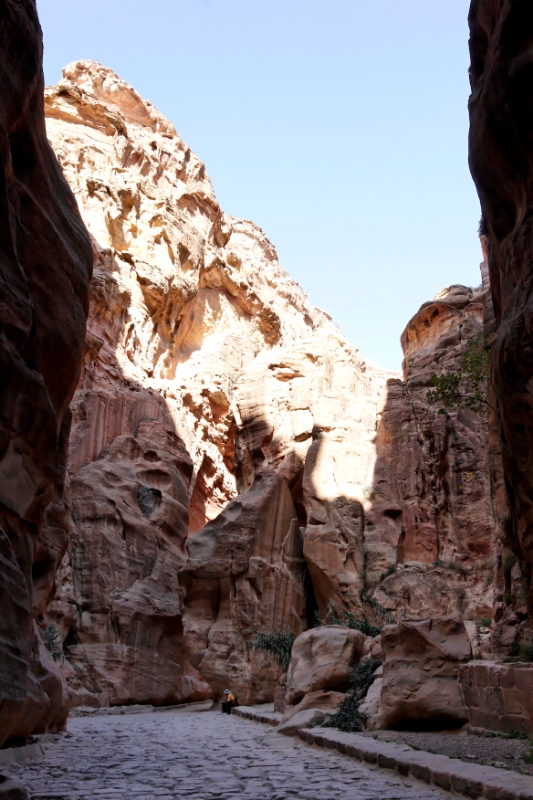 Canyon, Petra (Wadi Musa) Jordan 2.jpg